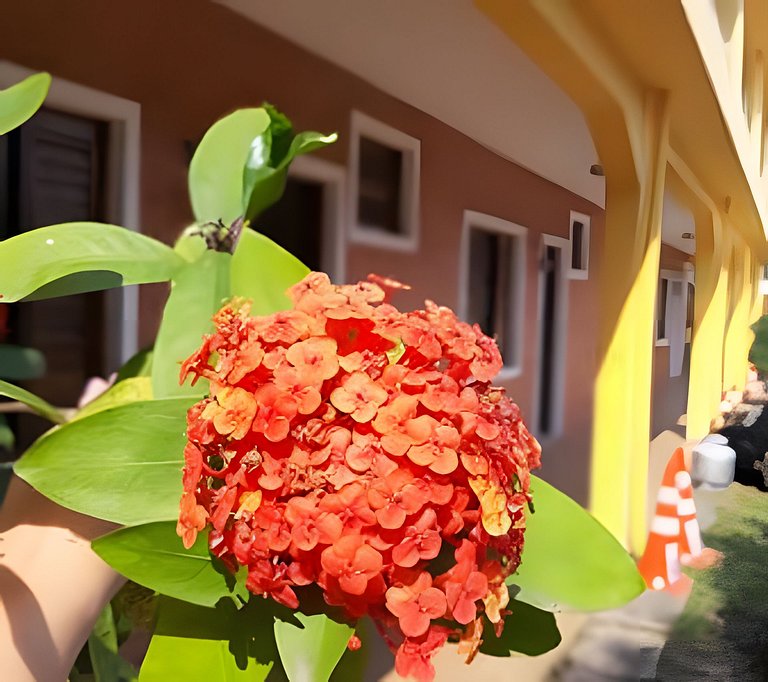 Flat 4 pessoas, Pet Friendly , economico perto da Praia